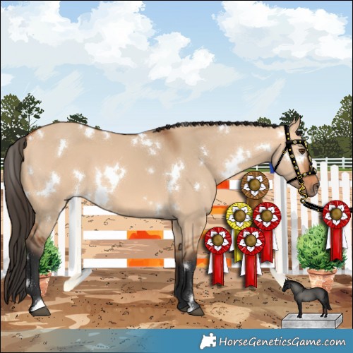 Horse Color:White Spotted Bay Dun 