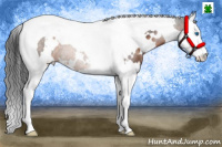 Horse Color:White Spotted Brown Splash Tobiano 