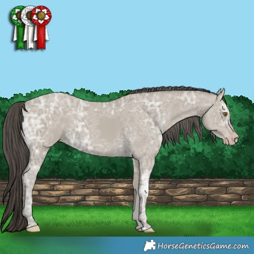 Horse Color:Classic Cream Champagne Ice 