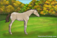 Horse Color:Classic Cream Champagne Ice 