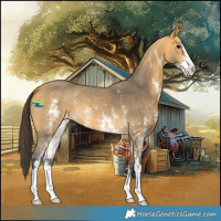Horse Color:Buckskin Sabino 
