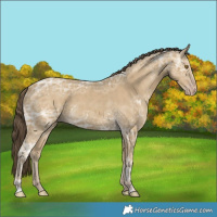 Horse Color:Classic Cream Champagne Ice 