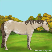 Horse Color:Classic Cream Champagne Ice