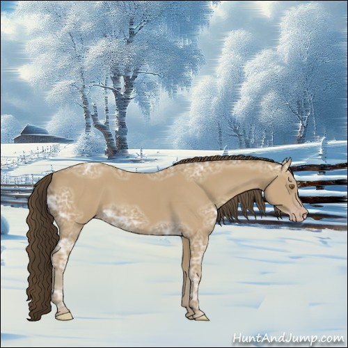 Horse Color:Classic Cream Champagne Ice