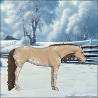 Horse Color:Classic Cream Champagne Ice 