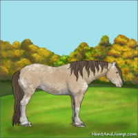 Horse Color:Classic Cream Champagne Ice 