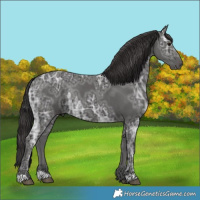 Horse Color:Smoky Black Ice Rabicano