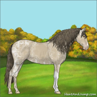 Horse Color:Classic Cream Champagne Ice 