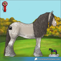 Horse Color:Classic Cream Champagne Ice 