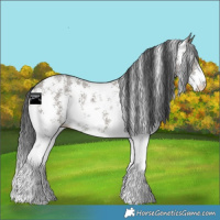 Horse Color:Grullo Sabino 