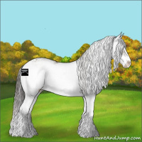 Horse Color:Smoky Grullo Sabino 