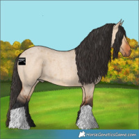 Horse Color:Bay Roan Dun