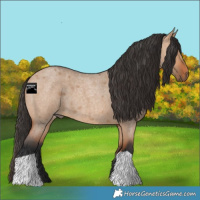 Horse Color:Bay Roan Dun 
