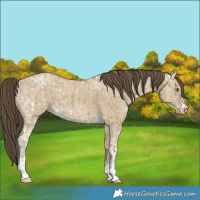 Horse Color:Classic Cream Champagne Ice  and Classic Cream Champagne Ice Dun 