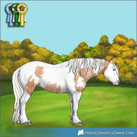 Horse Color:White Spotted Silver Brown Pearl Splash Tobiano Rabicano