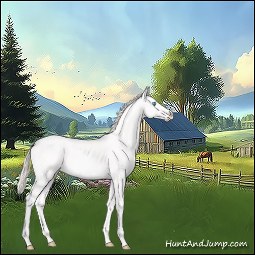 Horse Color:Smoky Creme Ice 
