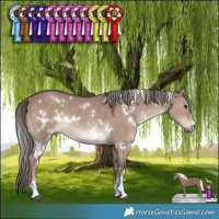 Horse Color:White Spotted Liver Red Dun Mushroom Sabino 