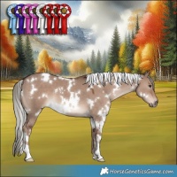 Horse Color:White Spotted Liver Red Dun Mushroom