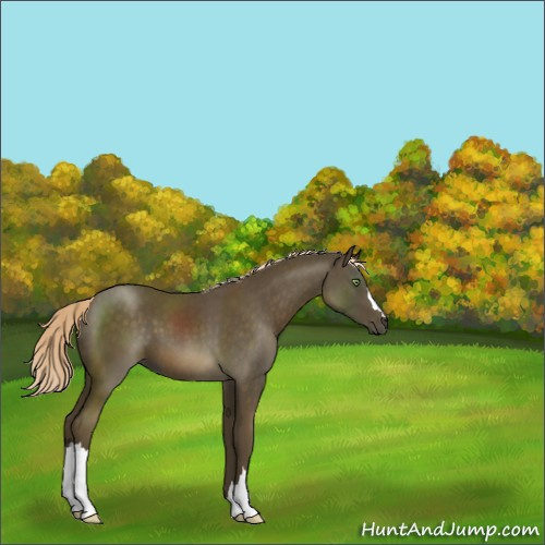 Horse Color:Chocolate Palomino