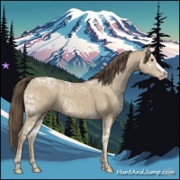 Horse Color:Classic Cream Champagne Ice 