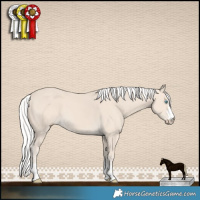 Horse Color:Silver Smoky Creme 
