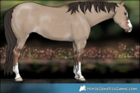 Horse Color:Liver Red Dun 