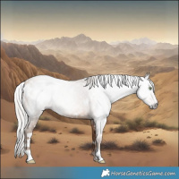 Horse Color:Gray White Spotted Silver Sable Champagne 