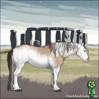Horse Color:White Spotted Liver Red Dun Rabicano 