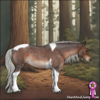Horse Color:Silver Brown Roan Tobiano Rabicano 