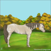 Horse Color:Classic Cream Champagne Ice 
