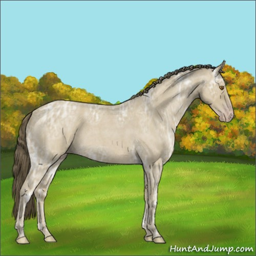 Horse Color:Classic Cream Champagne Ice Roan 
