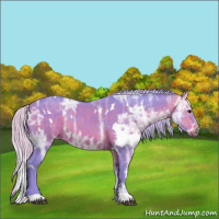 Horse Color:Watercolor White Spotted Silver Bay Ice 