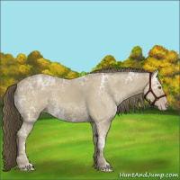 Horse Color:Classic Cream Champagne Ice 