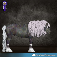 Horse Color:Watercolor Midnight Silver Bay Ice Dun Tobiano