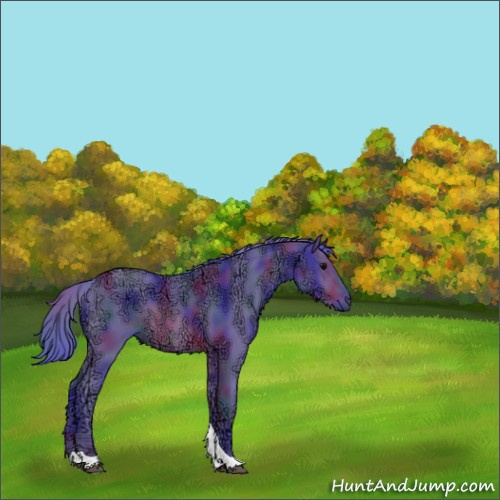 Horse Color:Nacre Watercolor Brown Ice Sabino Tobiano 