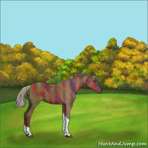 Horse Color:Nacre Silver Brown Tobiano 