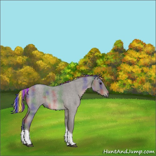 Horse Color:Painted Nacre Silver Blue Roan Tobiano 