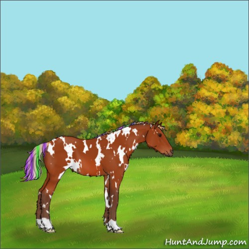 Horse Color:Painted White Spotted Silver Bay 