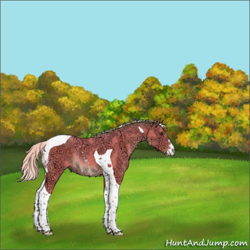 Horse Color:Watercolor Silver Brown Ice Sabino Tobiano Rabicano 