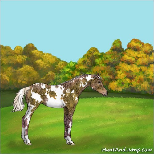Horse Color:Watercolor White Spotted Silver Bay Ice Rabicano 