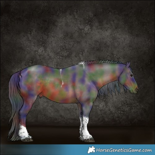 Horse Color:Nacre Brown Tobiano 