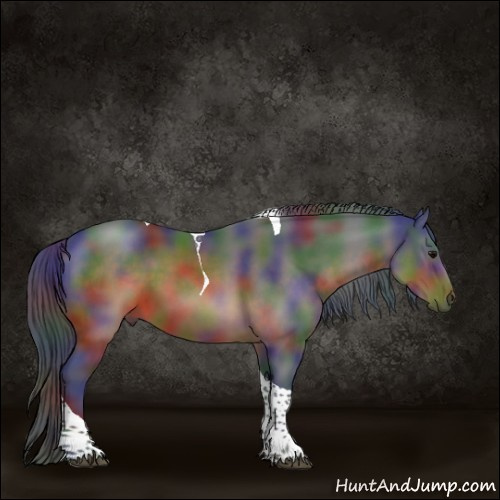 Horse Color:Nacre Brown Tobiano 