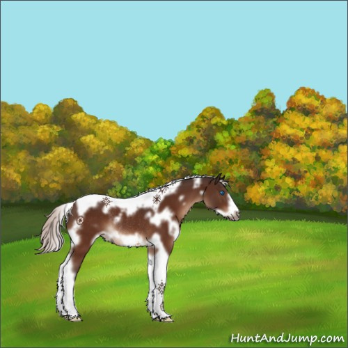 Horse Color:White Spotted Silver Brown Tobiano Frame Rabicano 