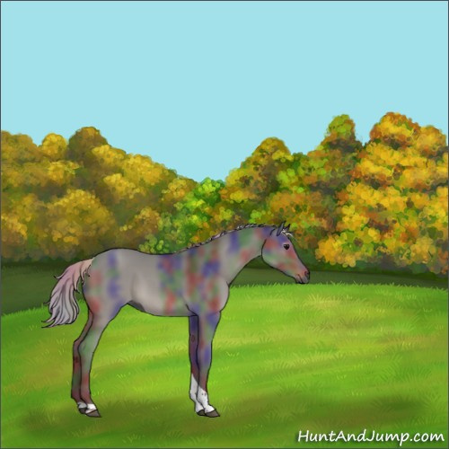 Horse Color:Gray Nacre Silver Grullo Tobiano Rabicano 