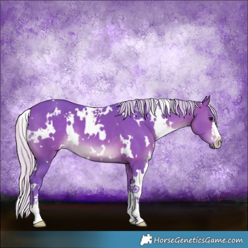 Horse Color:Watercolor White Spotted Silver Brown 