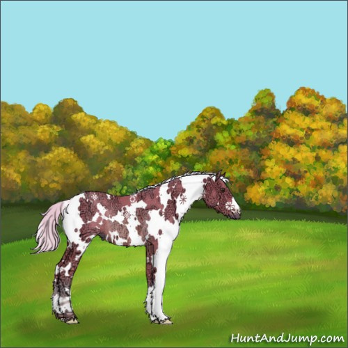 Horse Color:Watercolor White Spotted Silver Brown Ice Rabicano 