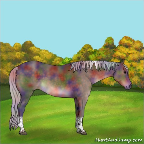 Horse Color:Nacre Silver Brown Sabino Tobiano 