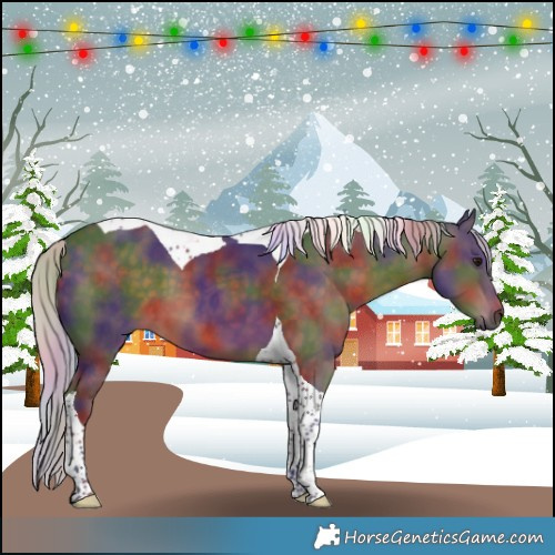 Horse Color:Nacre Silver Brown Tobiano 