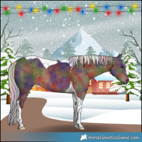 Horse Color:Nacre Silver Brown Tobiano