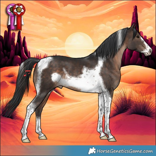 Horse Color:Brown Tobiano Frame 